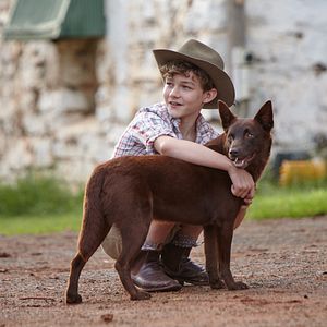 Bilder Red Dog - Mein treuer Freund