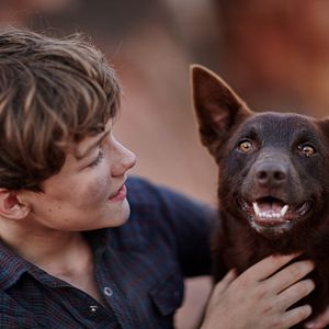 Bilder Red Dog - Mein treuer Freund