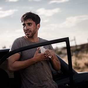 Bilder Halcón ciego