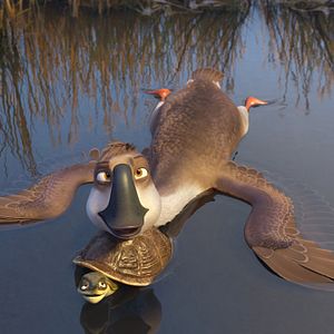 Bilder Gans im Glück