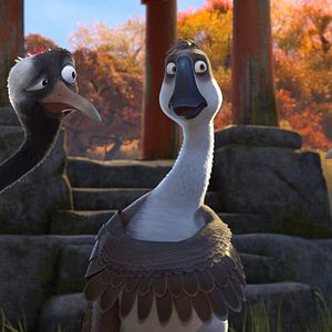 Bilder Gans im Glück