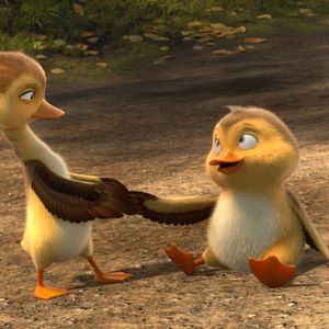 Bilder Gans im Glück