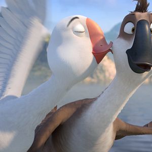 Bilder Gans im Glück