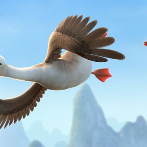 Bilder Gans im Glück