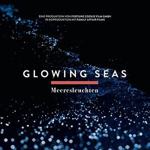 Bilder Meeresleuchten