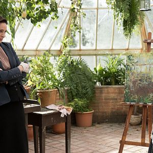 Bilder AnnaSophia Robb