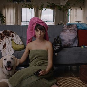 Bilder Liebe auf 4 Pfoten