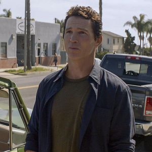 Bilder Animal Kingdom