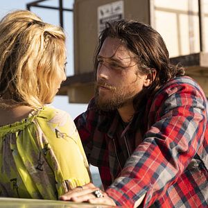 Bilder Animal Kingdom