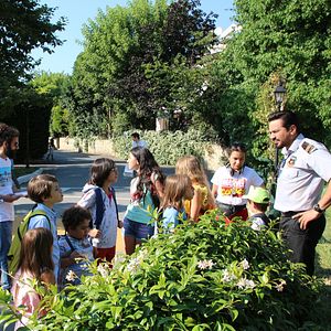 Bilder Müsaadenizle Büyükler