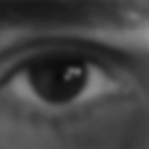 Bilder Who Is America?