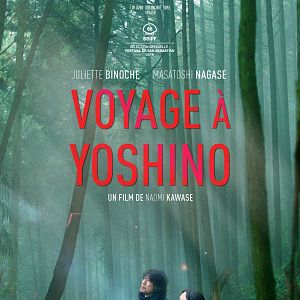 Bilder Die Blüte des Einklangs