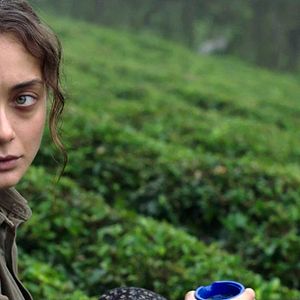 Bilder Damla Sönmez