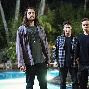 Bilder Animal Kingdom