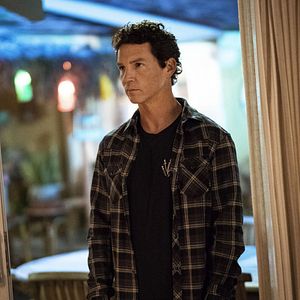 Bilder Animal Kingdom