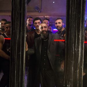 Bilder Asphaltgorillas