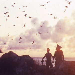 Bilder The Profound Desire of the Gods