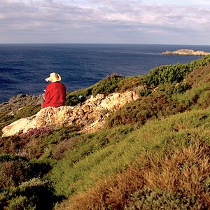Bilder Nelson Felix - Método Poético para Descontrole de Localidade