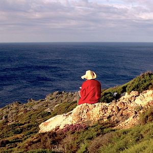Bilder Nelson Felix - Método Poético para Descontrole de Localidade