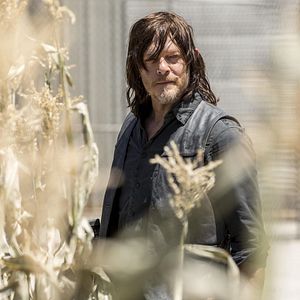 Bilder Norman Reedus