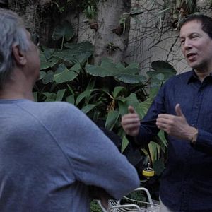 Bilder Tunga, o Esquecimento das Paixões