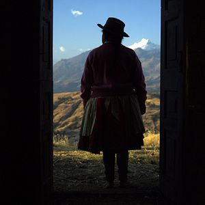 Bilder Angaben zum Werk