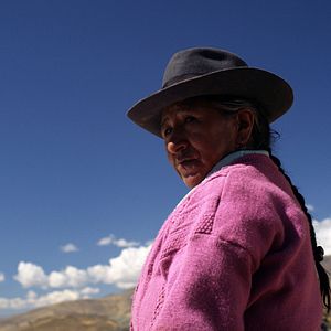 Bilder Angaben zum Werk