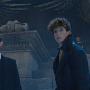 Bilder Callum Turner