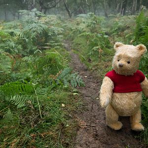Bilder Christopher Robin