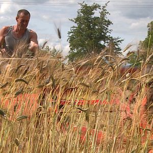 Bilder Worauf warten wir noch?