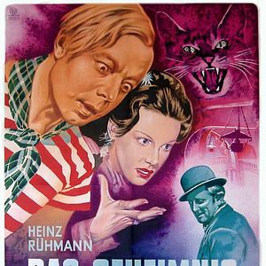 Bilder Das Geheimnis der roten Katze