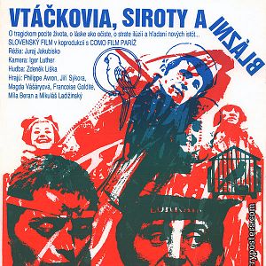 Bilder Vögel, Waisen und Narren