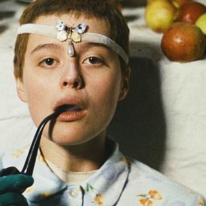 Bilder Vögel, Waisen und Narren