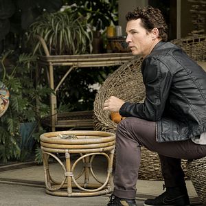 Bilder Animal Kingdom