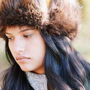 Bilder Through Black Spruce