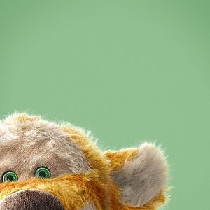 Bilder Christopher Robin