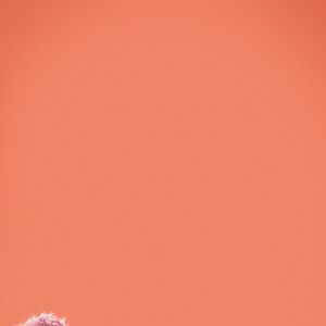 Bilder Christopher Robin