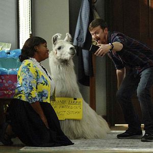 Bilder Sherri Shepherd