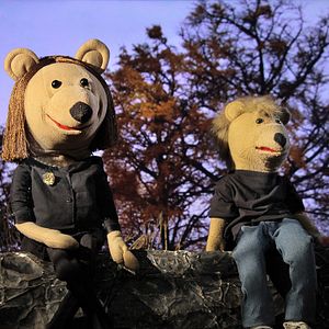 Bilder La Sociologue et L'ourson