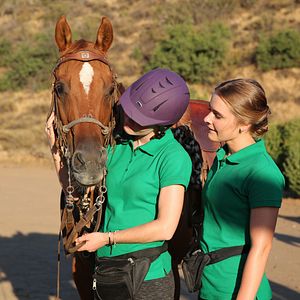 Bilder Das Glück dieser Erde