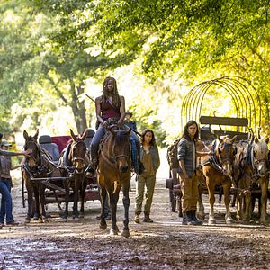 Bilder Callan McAuliffe