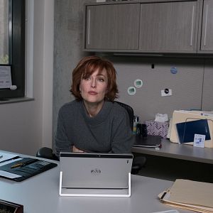 Bilder Gillian Anderson