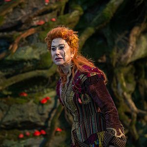 Bilder Der Nussknacker und die vier Reiche