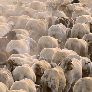 Bilder Was essen wir morgen?