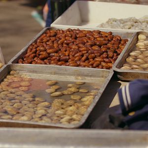 Bilder Was essen wir morgen?