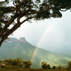 Bilder Fly, Rocket Fly! - Mit Macheten zu den Sternen