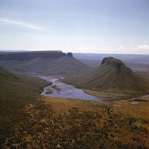Bilder Fly, Rocket Fly! - Mit Macheten zu den Sternen