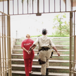 Bilder Lírios Não Nascem da Lei