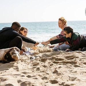 Bilder Sorry For Your Loss