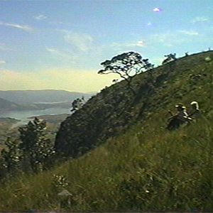 Bilder Os Jovens Baumann